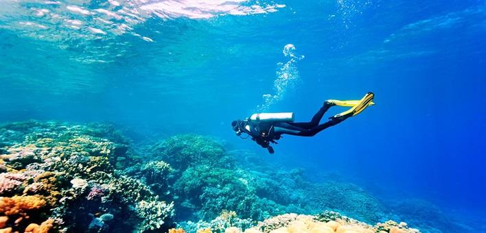 Andaman Island Tour Short