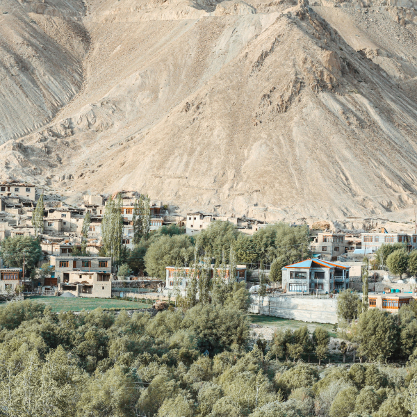 LEH04N + NUBRA01N + PANGONG01N + TsoMorori01N