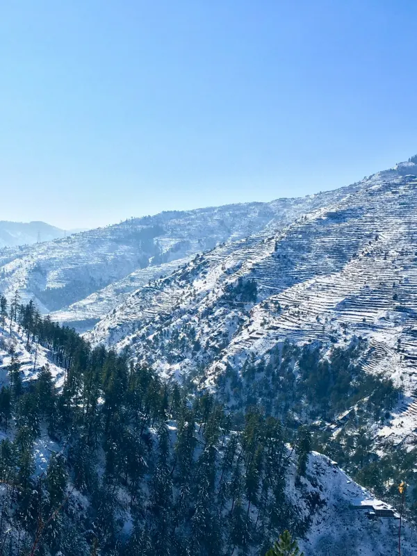 Shimla